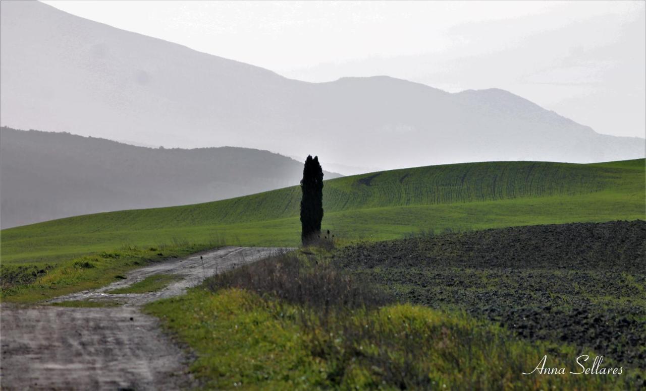Soleluna San Quirico dʼOrcia Exterior foto